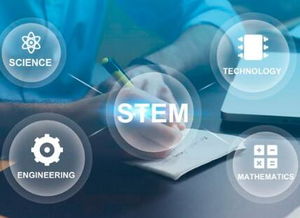 重慶引序科技 專業網站建設與網絡技術服務領航者